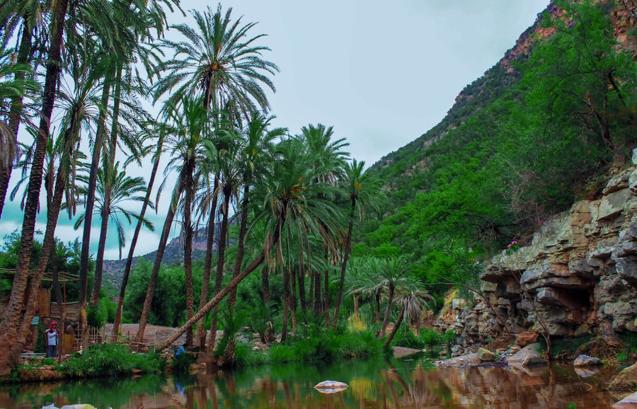 Paradise Valley