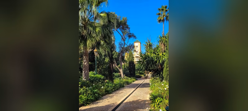 Palm-lined garden path leading to a stone tower in the Andalusian Garden, Kasbah of the Udayas, Rabat